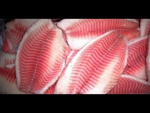 Cara Memotong Dan Melepaskan Tulang  Ikan  Salmon Part 2 