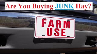 Are You Buying Junk Hay by 8th Day Chronicles 174 views 2 months ago 15 minutes