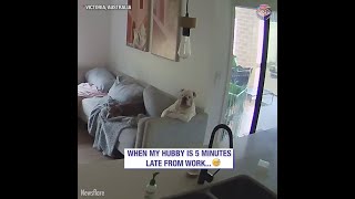 👁️Well-behaved pup waits for mom like human 🐶😇
