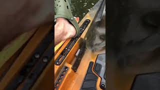 Rainbow Trout On Robo Worm