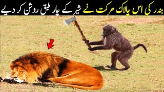 You Will Be Surprised To See This Action Of The Monkey | Planet Earth