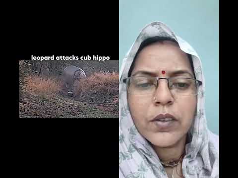 शेर को मिला सवा शेर# #viral