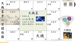 【魁鉞Podcast】性不性EP5_14主星～天機星的夫/妻是太陽星？