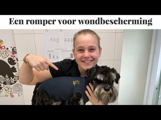 Een Romper Voor Wondbescherming / Medical Pet Shirt | Instructie Video -  Youtube