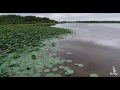 Озеро с лотосами