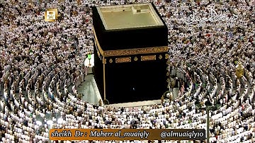 مغربيّة تسلب الآلباب من الشيخ د. ماهر المعيقلي لما تيسّر من سورة طـه || ليوم الأربعاء ١١-٥-١٤٣٨هـ