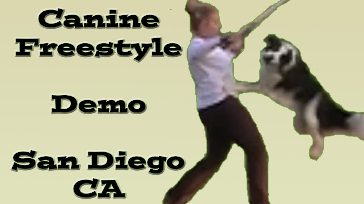 Star Wars Demo - Twix & Pam physical education