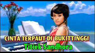 CINTA TERPAUT DI BUKITTINGGI - Titiek Sandhora