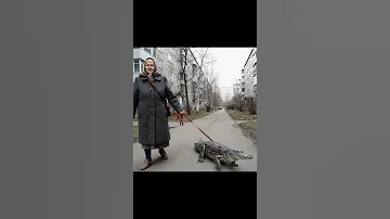 Бабка с крокодилом бабка тренды ии крокодил 