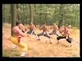 Shaolin fight  sifu robert lyons 