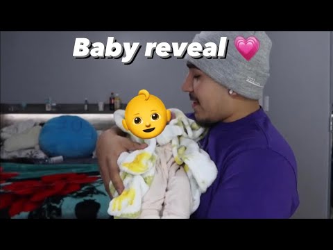 BABY NOVI REVEAL