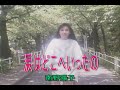 (カラオケ) 涙はどこへいったの / 南野陽子