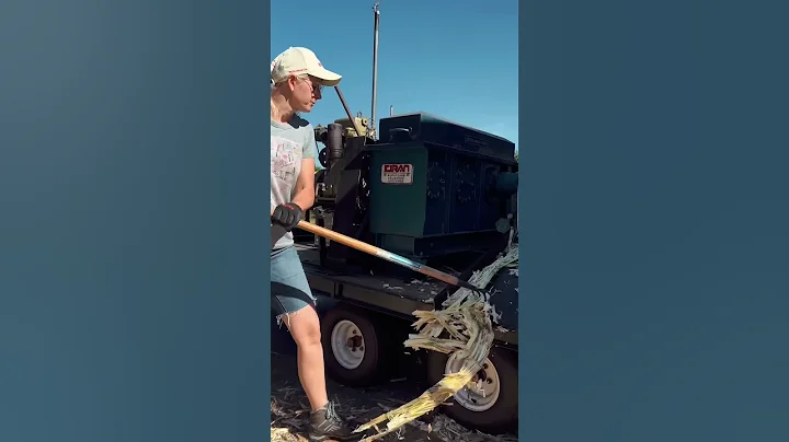 Juicing Sugar Cane #sugarcane #rum #harvest #farming #photographer