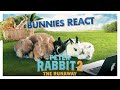 PETER RABBIT 2: THE RUNAWAY  Bunnies React