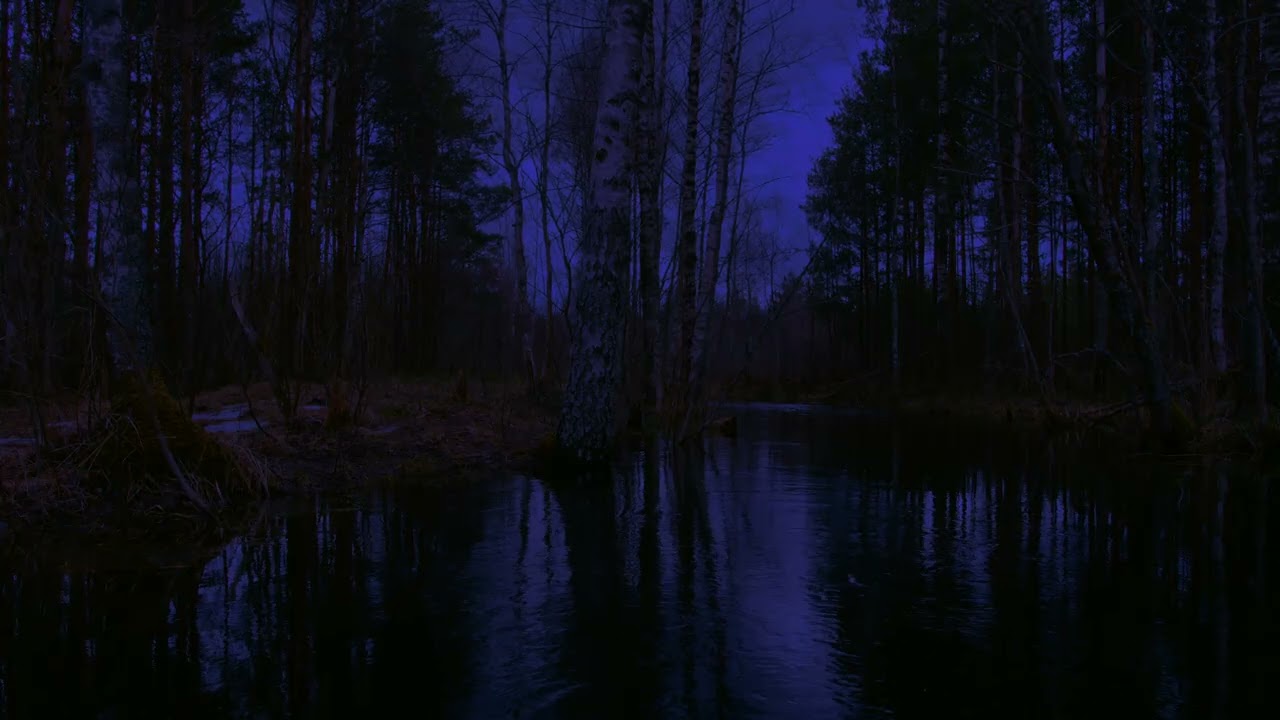 a moment in the swamps of artarium. ( swamp ambience )