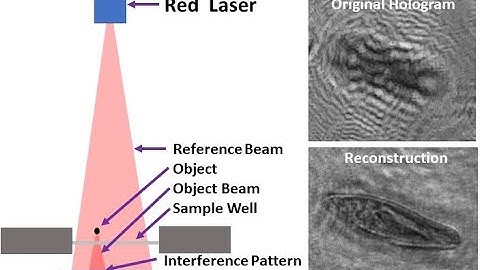 Holographic Microscope Assembly