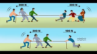 القوى والحركة - للصف السادس الابتدائي