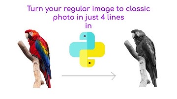 Turn your Color images to classic gray-scale images in just 4 lines of code in python | The fun way