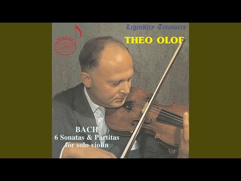 Violin Sonata No. 1 in G Minor, BWV 1001: I. Adagio