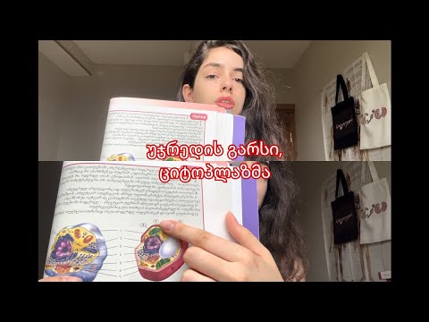 2) უჯრედის გარსი: კედელი, გლიკოკალიქსი, პლაზმური მემბრანა; ციტოპლაზმა, ციტოჩონჩხი 🧠🧬✨