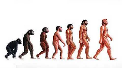 Did Cro-Magnon and Neanderthal coexist?
