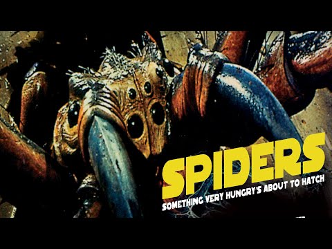Spiders