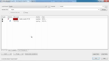 Git tortoiseGit을 이용한 협업 1