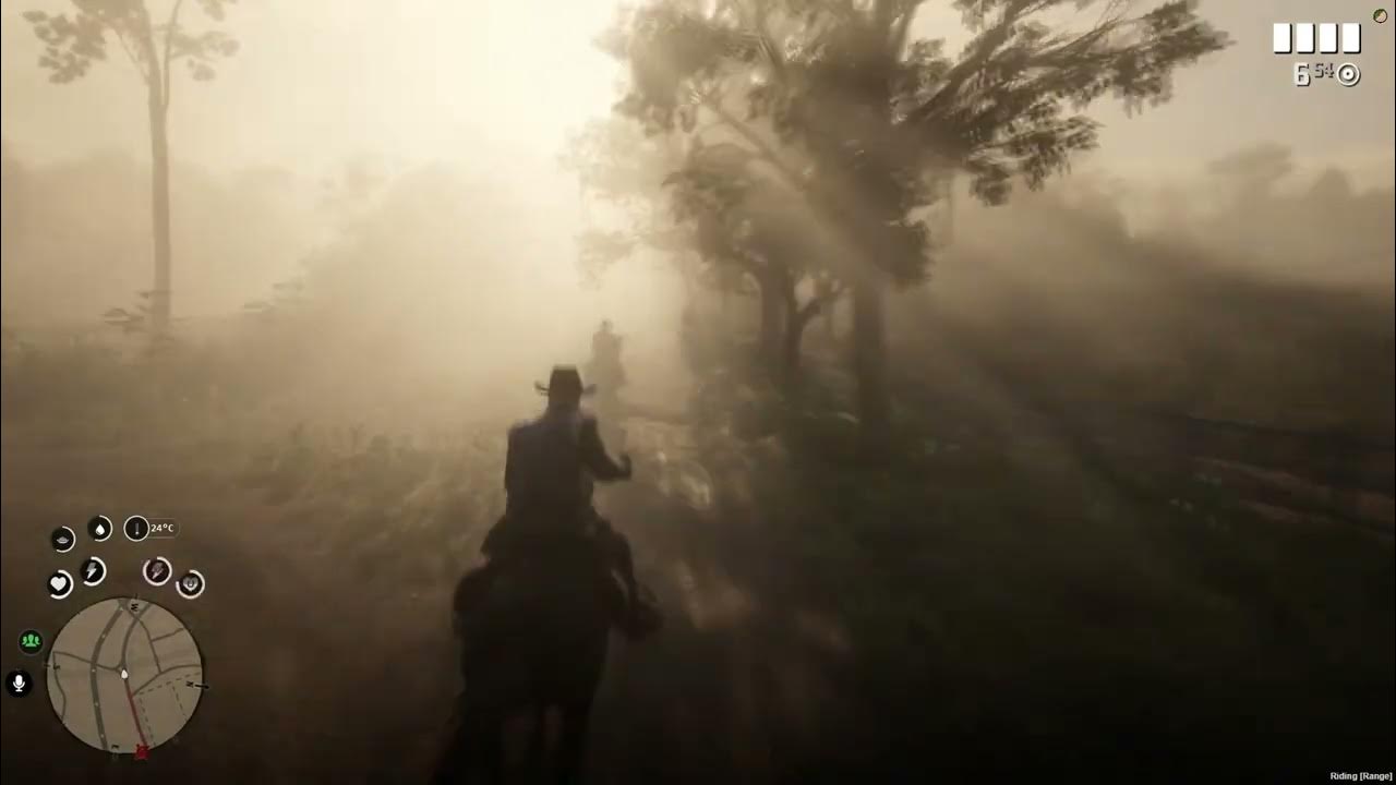 Armadillo by morning YouTube