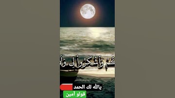 القارئ الشيخ/ جمال آل حمادي سورة البقرة