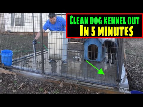 the-best-way-to-clean-your-dog-kennel-out-in-5-minutes