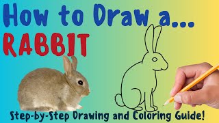 How To Draw A Rabbit - Fun & Easy Step-by-Step Rabbit Drawing and Coloring Guide screenshot 2