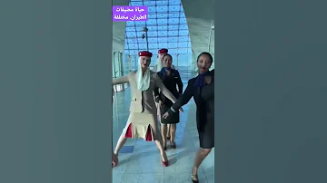 راتب مضيفة الطيران حياة مختلفة اكاديمية الضيافة الجوية Sky Dream 