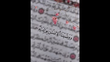 من سورة الأحقاف (ووصينا الإنسان بوالديه) للشيخ عبد الباسط عبد الصمد