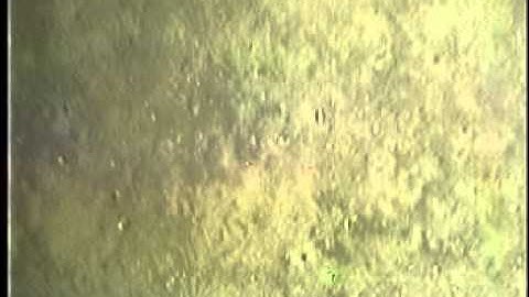 C0212SC_Tape41o.noaudio.mpg