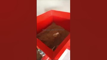 Nigerian client the feedback#fishfeedmachine #fishfarming