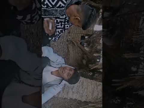 يا رجوله شدي صاحبي حب حبيبتي