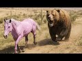 Horse is chased by a bear