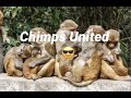 Chimps united V3