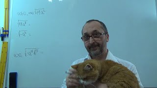 картинка: 081803 Контрольна робота Квадратні корені Достатній і високий рівень - 8 клас