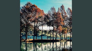 Debonair Making Changes