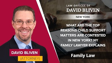 What Are The Top Reasons Child Support Matters Are Contested In New York?