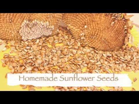 How To Make Sunflower Seeds-11-08-2015