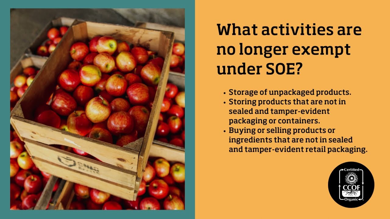 SOE Overview What Is SOE And Who Is Impacted YouTube SOE Overview What Is SOE And Who Is Impacted YouTube