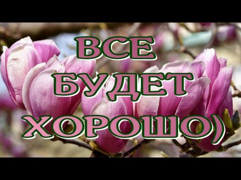 ВСЕ БУДЕТ ХОРОШО🥰МИР светлыми НАДЕЖДАМИ согрет😁Прекрасные стихи ✔Алеся Синеглазая🎶Музыкальный клип