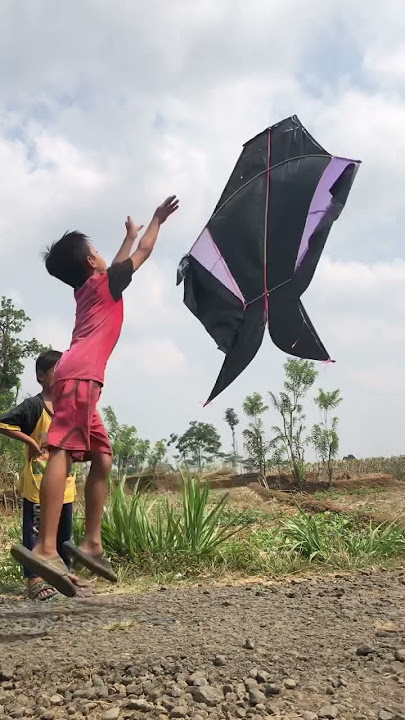 Layangan cotek V/S layangan celepuk #layangan #shortsvideo #yearofyou
