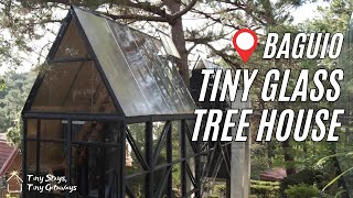 Amazing Glass Tree House in Baguio | Tudor in the Pines