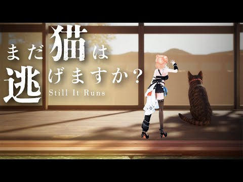 【まだ猫は逃げますか?】猫になって事件の真相を明かす!【どっとライブ/七星みりり】 video thumb