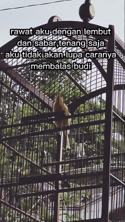 Story Wa Kenari