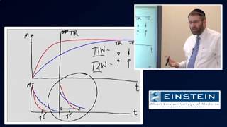 Introducing MRI: NMR Contrast (12 of 56)