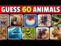 Guess 60 dangerous animals in 3 seconds   easy to impossible
